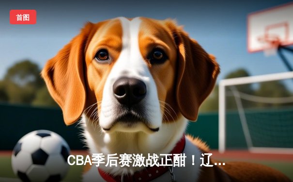 CBA季后赛激战正酣！辽宁本钢逆转浙江广厦，赵继伟关键三分锁定胜局